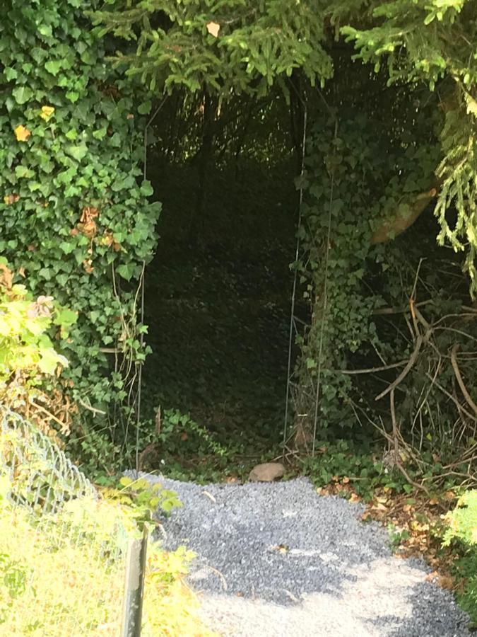 Waulsort Le Paradis Mosan מראה חיצוני תמונה